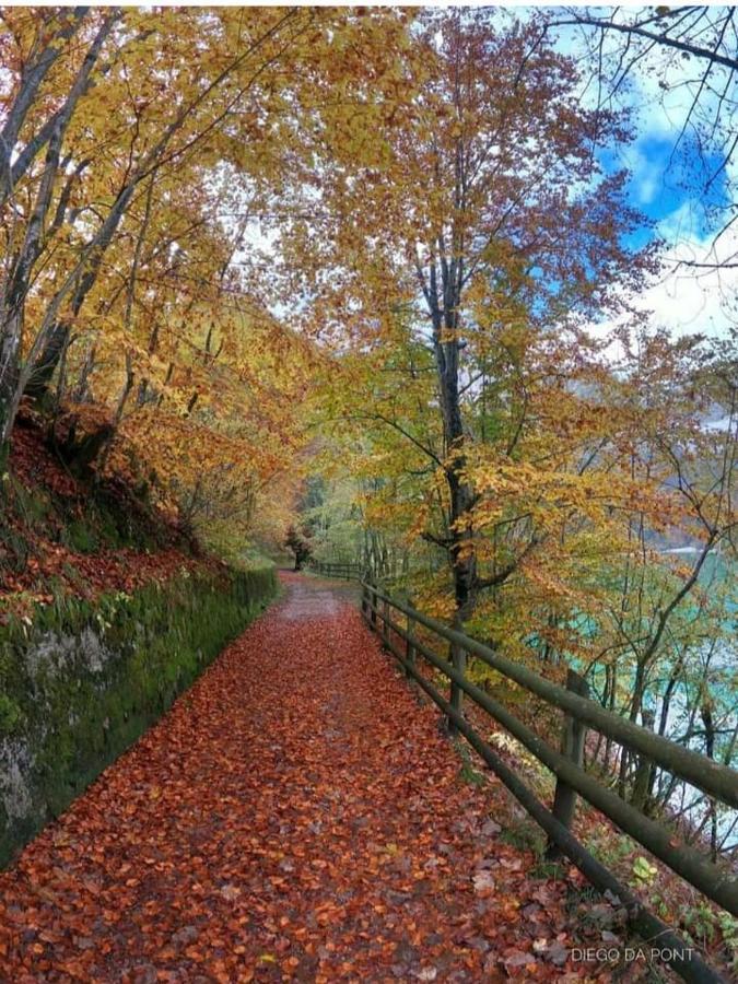 Apartamento Colori Nel Parco Cesiomaggiore Exterior foto
